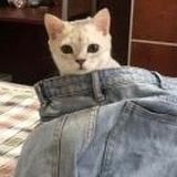 余生