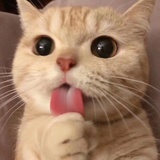 bbbbbbb