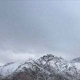 dorje dradul