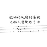 别碰我的婴儿肥