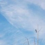 ㅤㅤㅤㅤㅤㅤㅤ