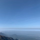 灰灰