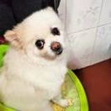 耘西