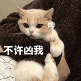 千金难买我乐意