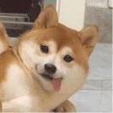 玛卡巴卡