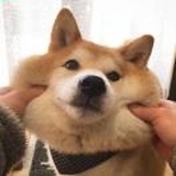 女乔。