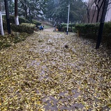 轩儿