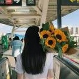 花哭花瓣飞