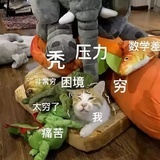 幸好我有猫