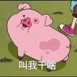 红酒momo