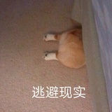 小吴˙Ꙫ˙