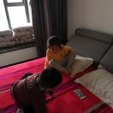 金鱼