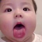 福克斯