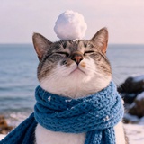 走啊！吃火锅！