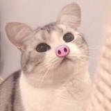 咩仔要加油