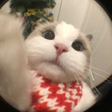 吹吹风