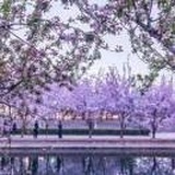 夏雨的韵味
