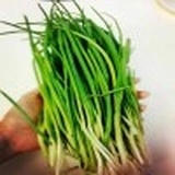 菜