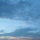 璐子