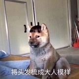 后知后觉