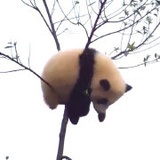 三無QAQ