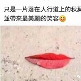豆友205493119