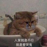 亦菲整形🏥
