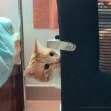 豆友205508122