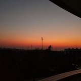 栗子遥·风信子