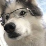 某某某某某某