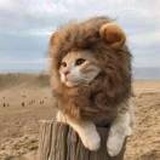 吃个火锅吧