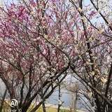悦色和颜