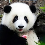 每天都吃得开心