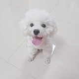 想想你，花就开