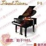 四叶草pBMGm