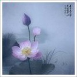 莲心
