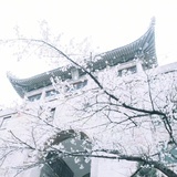 画眉红