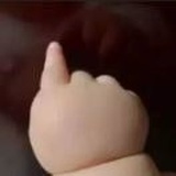 土豆肥又圆～将