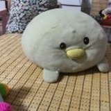 高纬度的小猴子