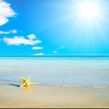 sunny