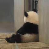 煎小虾