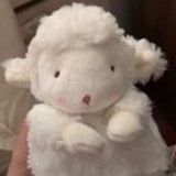 倒悬的橘子