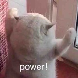 西西草莓