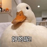好的呢