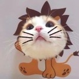 ʚ 🌝 ིྀɞ