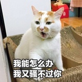搞搞傅里叶变化