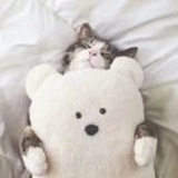 滴滴滴滴滴