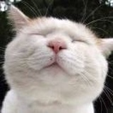 不懂先森