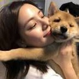 栀虞