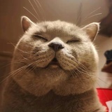 凛酱